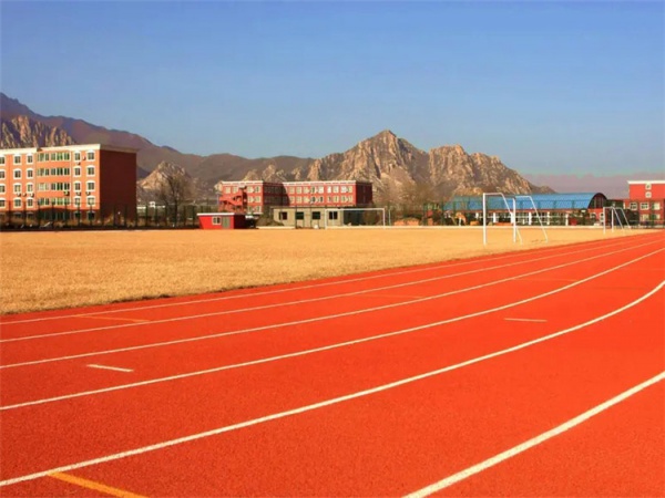 乐山市EPDM颗粒学校塑胶跑道 - 方案